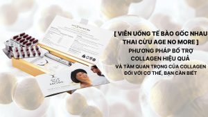 Tầm quan trọng của collagen đối với cơ thể, bạn cần biết
