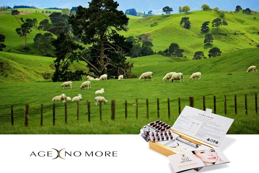 Giải pháp trẻ hóa da từ tế bào gốc cùng Age No More Ovine Placenta 1